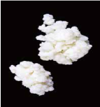 コーカサス地方カスピ海周辺で、何百年も前から大切に育まれてきたケフィア菌種を日本に譲り受け、独自の発酵技術を用いて誕生したオリジナル乳酸菌のイメージ写真